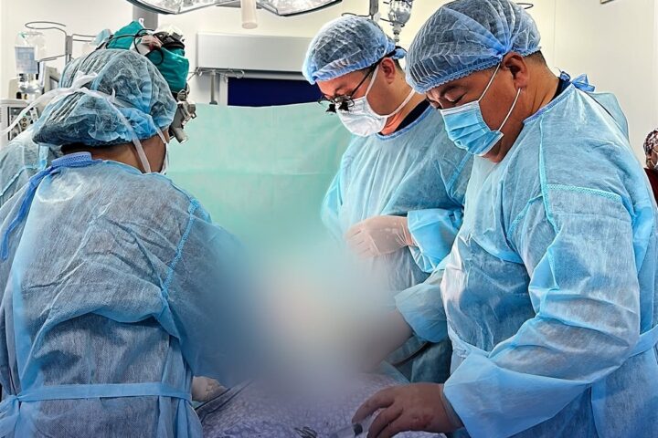 В Шымкенте провели 256-ю пересадку почки